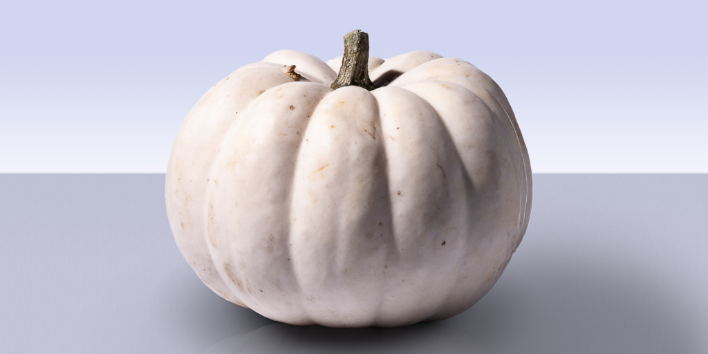 Casper white pumpkin