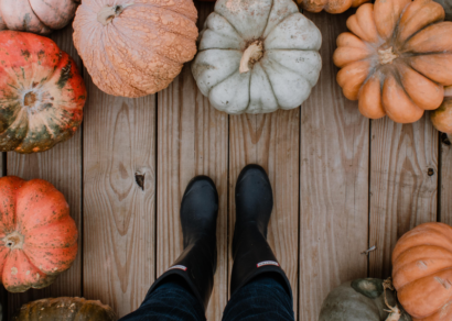 fall decorationg with pumpkins and gourds